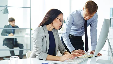 Audit Support Services
